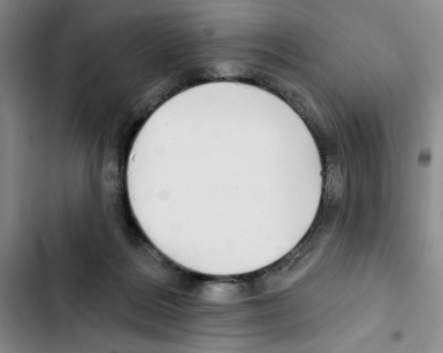 X0000102810220200809150959