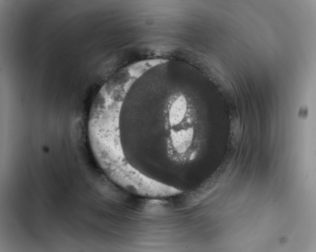 X0000102810222200809150959