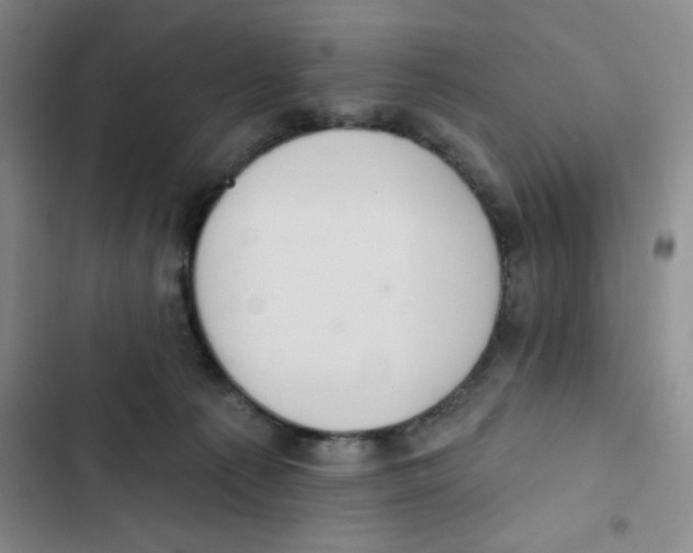 X0000102810225200809150959