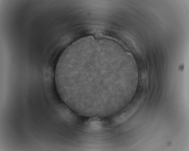 X0000102810228200809150959