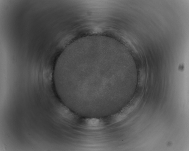 X0000102810230200809150959