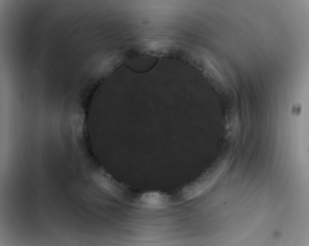 X0000102810231200809150959