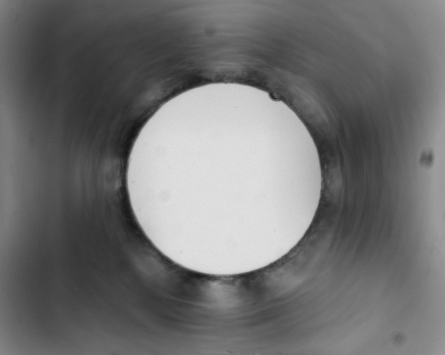 X0000102810232200809150959