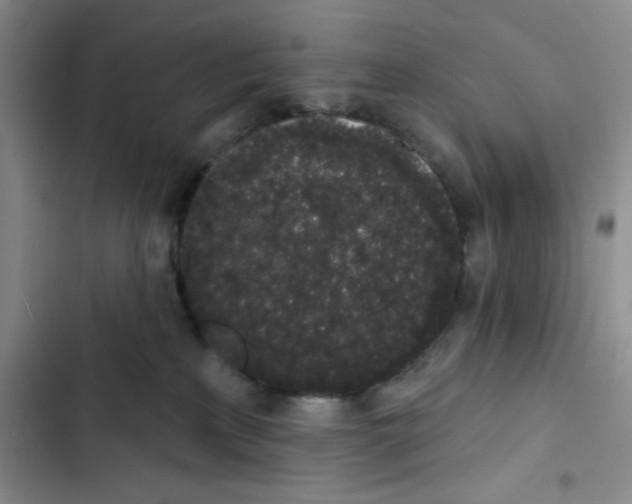 X0000102810233200809150959