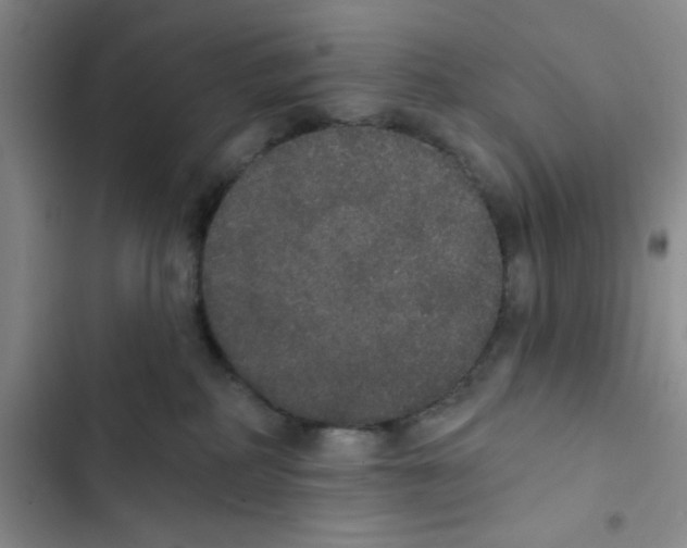 X0000102810234200809150959