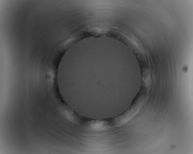 X0000102810235200809150959