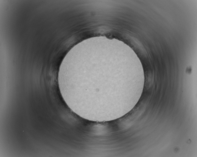 X0000102810236200809150959