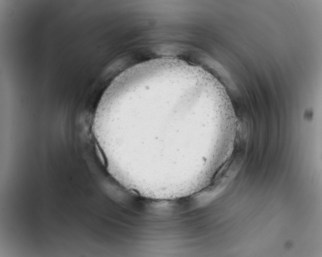 X0000102810237200809150959