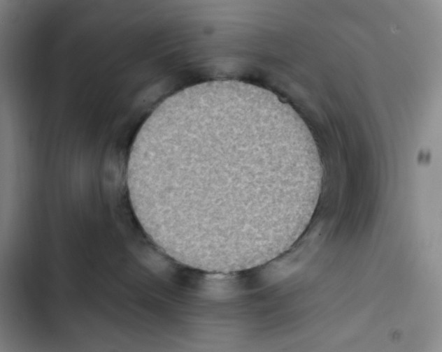 X0000102810240200809150959