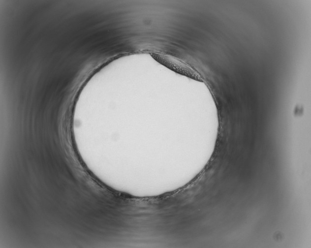 X0000102810241200809150958