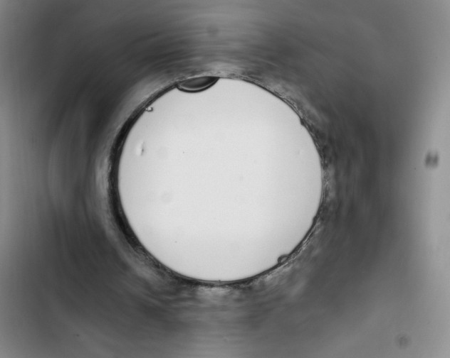 X0000102810242200809150958