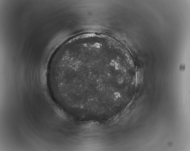 X0000102810243200809150958