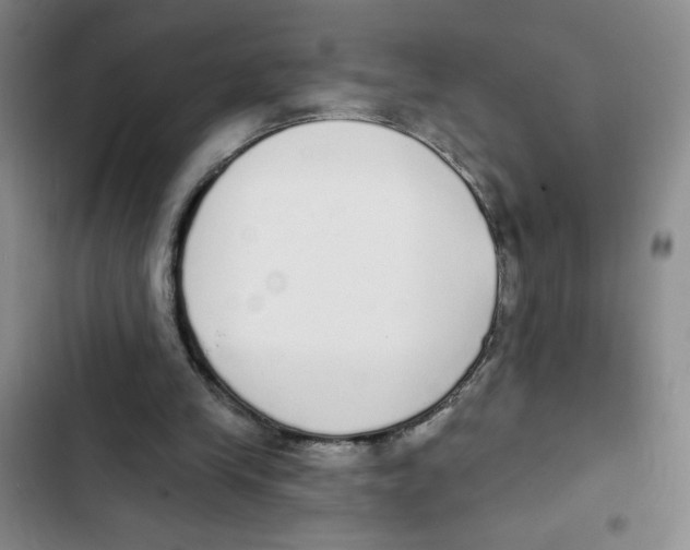 X0000102810245200809150958