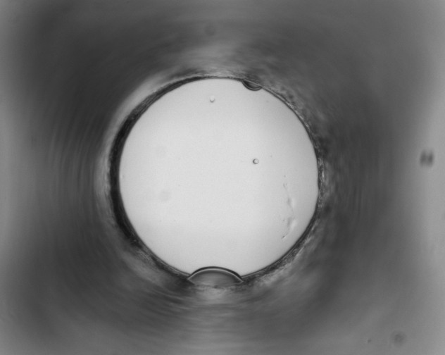 X0000102810246200809150958