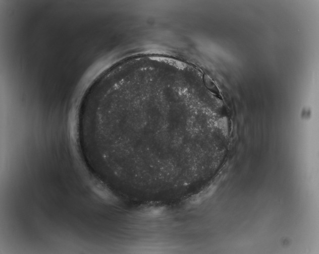 X0000102810247200809150958