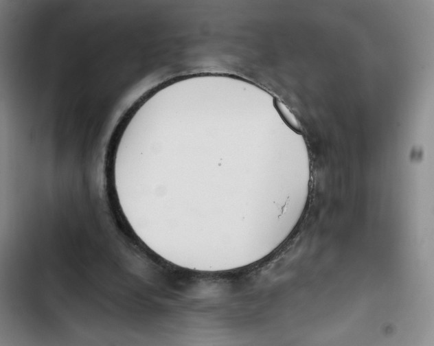 X0000102810248200809150958