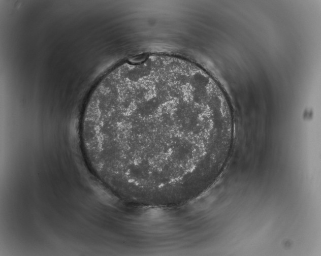 X0000102810249200809150958