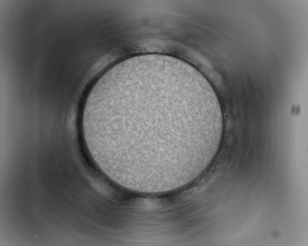 X0000102810250200809150958