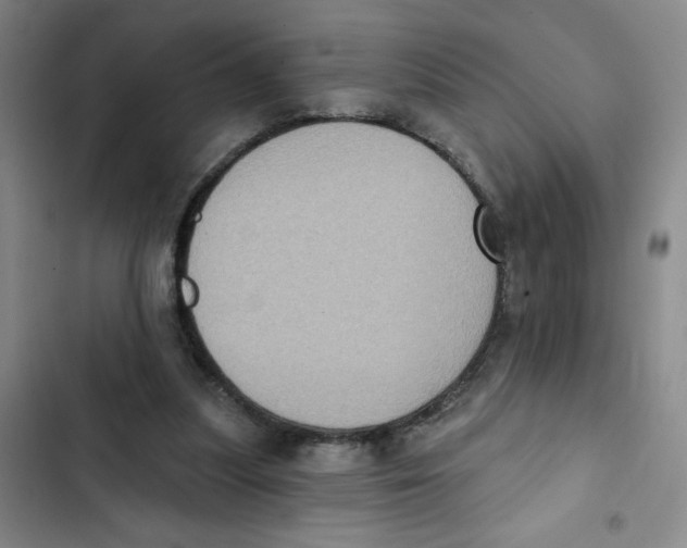 X0000102810251200809150958