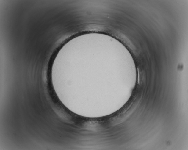 X0000102810252200809150958