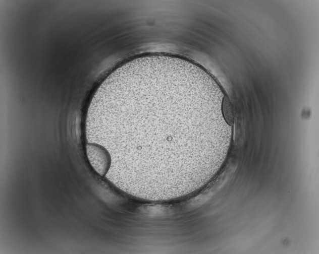 X0000102810253200809150958