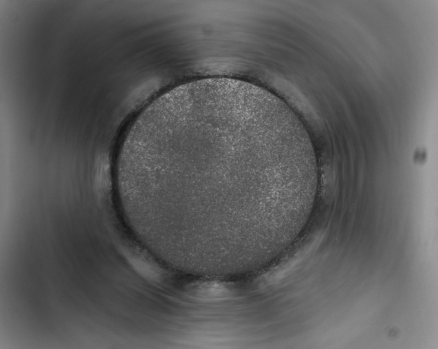 X0000102810254200809150958