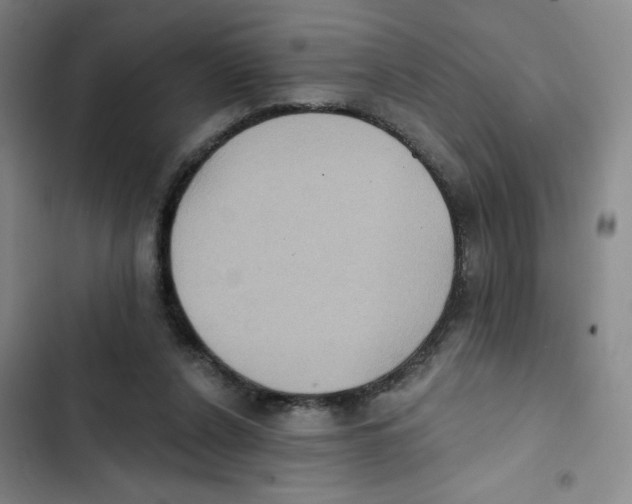 X0000102810256200809150958