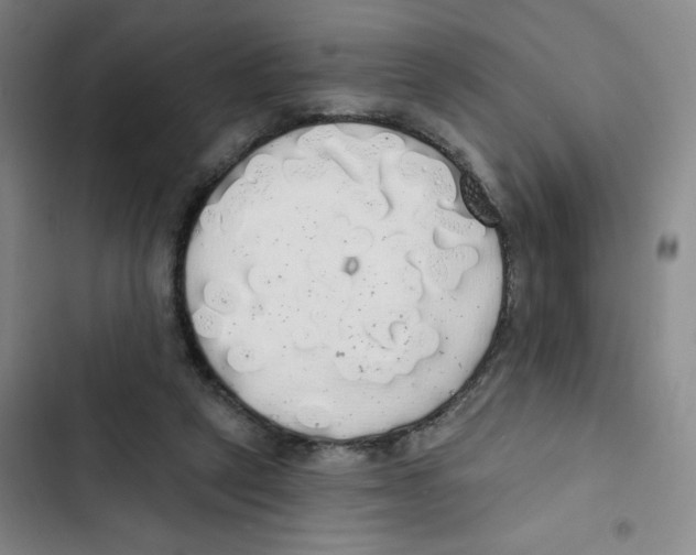 X0000102810257200809150958