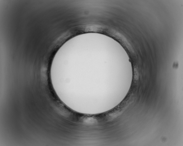 X0000102810258200809150958