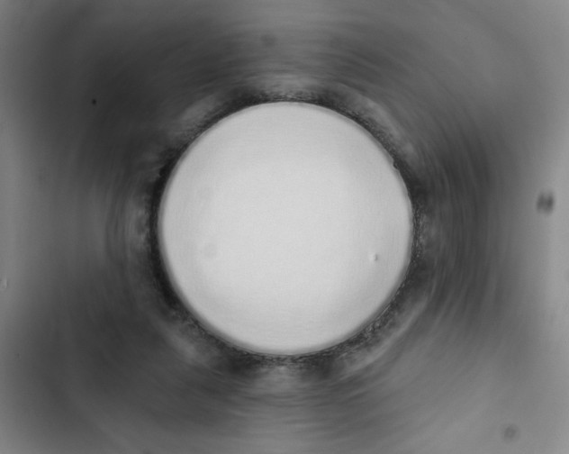 X0000102810259200809150958