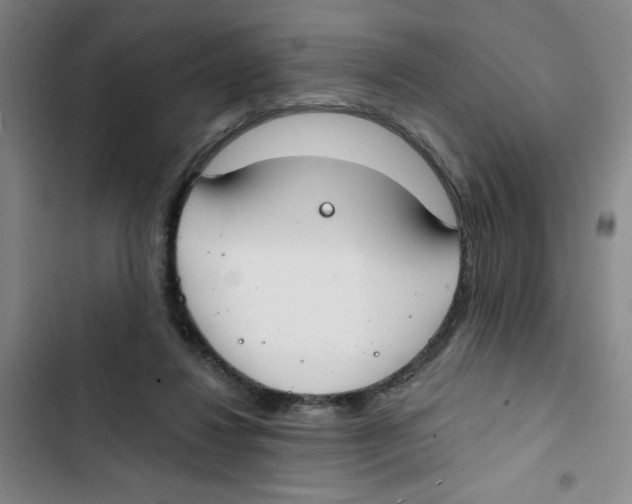 X0000102810260200809150958