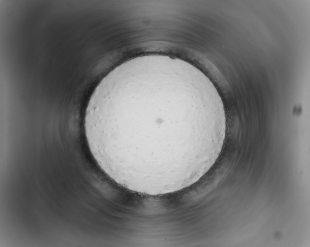 X0000102810261200809150958