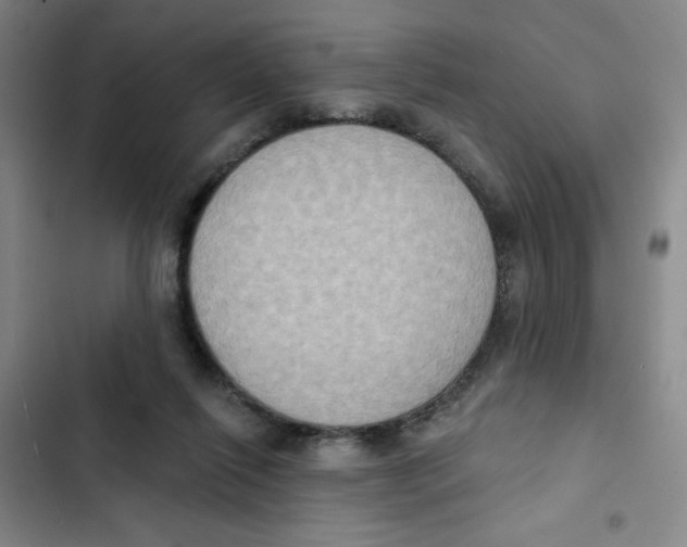 X0000102810262200809150958