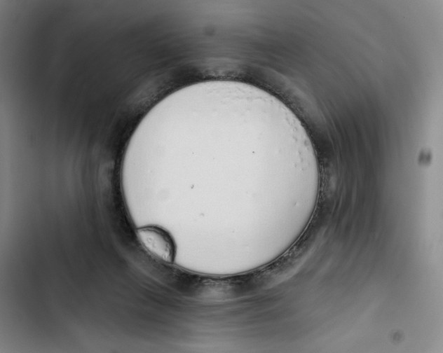 X0000102810263200809150958