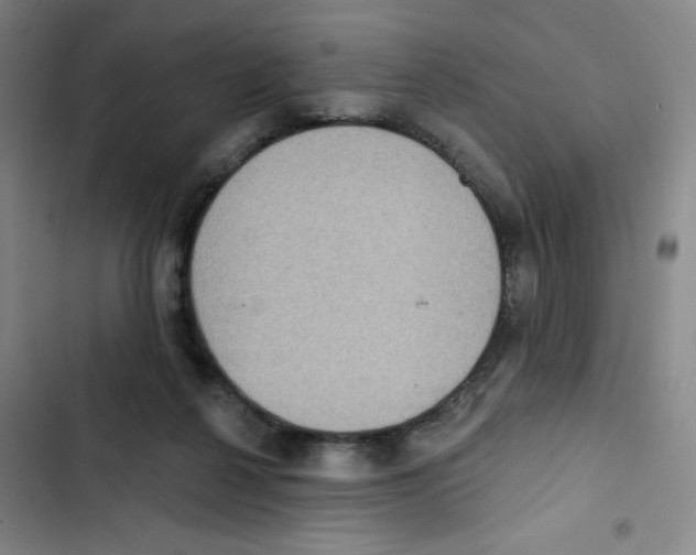 X0000102810264200809150958