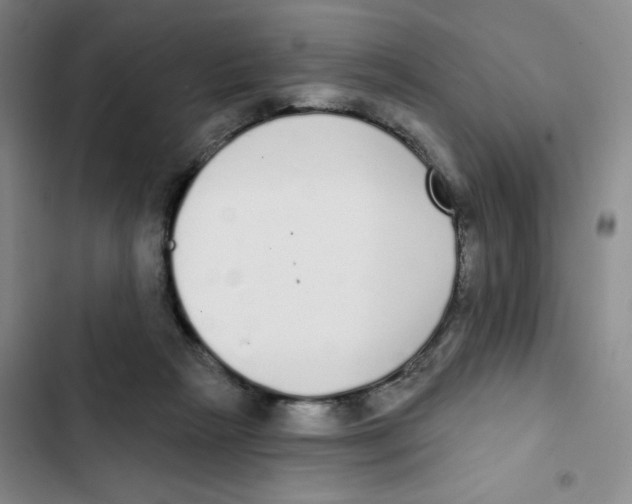 X0000102810265200809150958