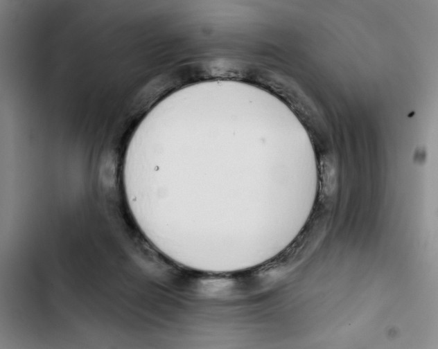 X0000102810266200809150958