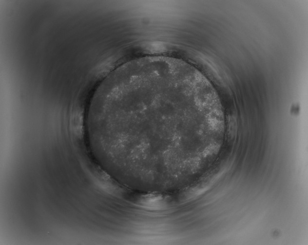 X0000102810267200809150958