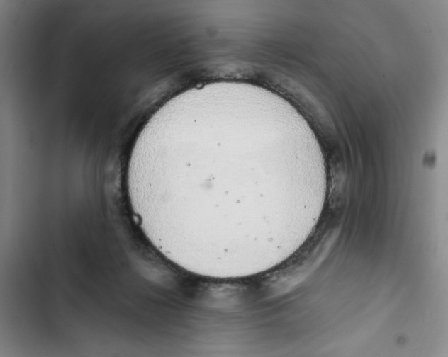 X0000102810268200809150958