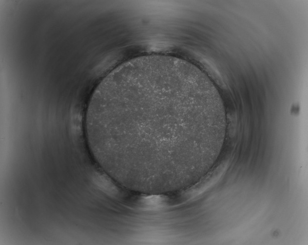 X0000102810269200809150958