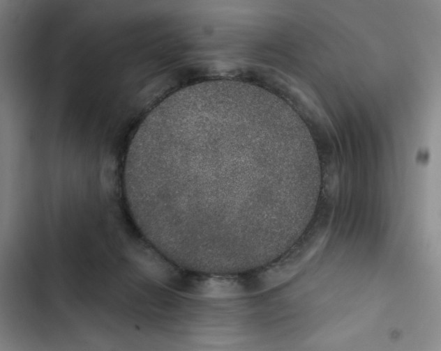 X0000102810270200809150958