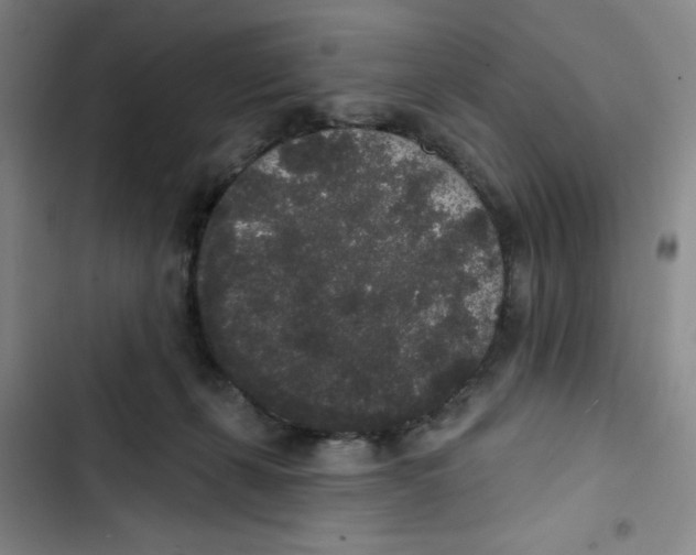 X0000102810271200809150958