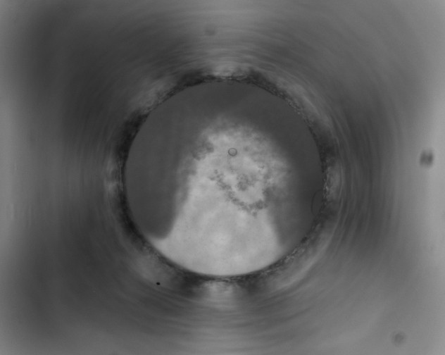 X0000102810272200809150958