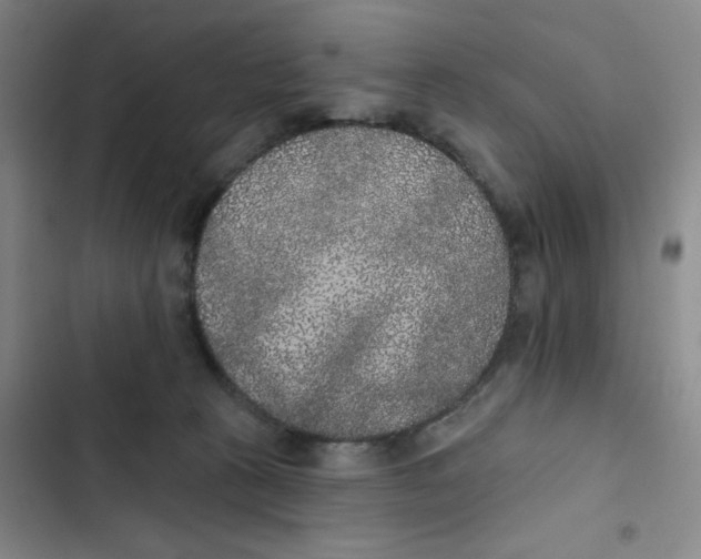 X0000102810273200809150958