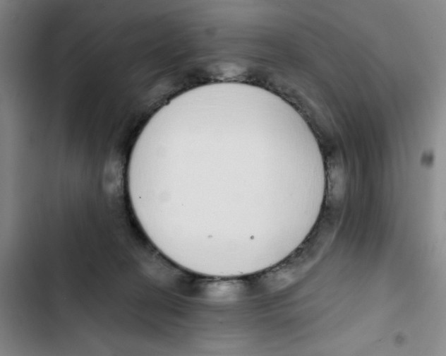 X0000102810274200809150958