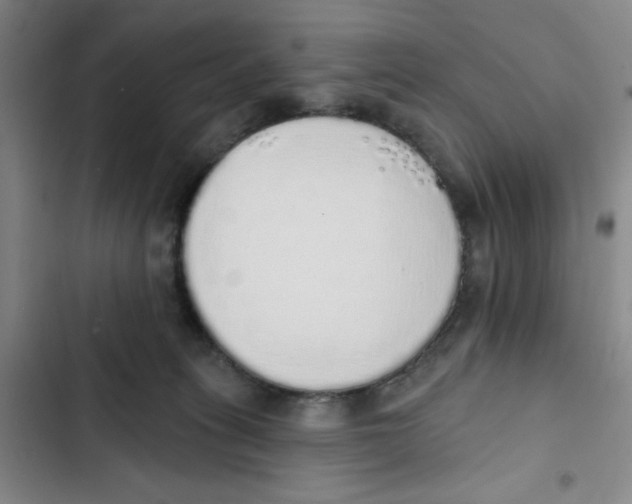 X0000102810275200809150958