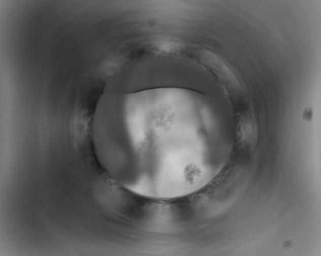 X0000102810276200809150958