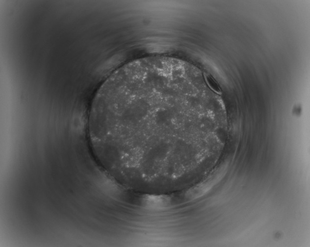 X0000102810277200809150958