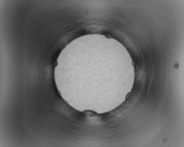 X0000102810283200809150959