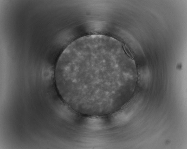 X0000102810284200809150959